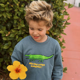 Alligator Pullover